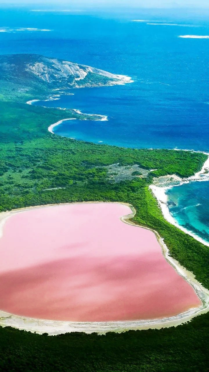 Lac Rose Salz